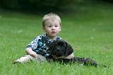 ENFANT ET CHIEN 499